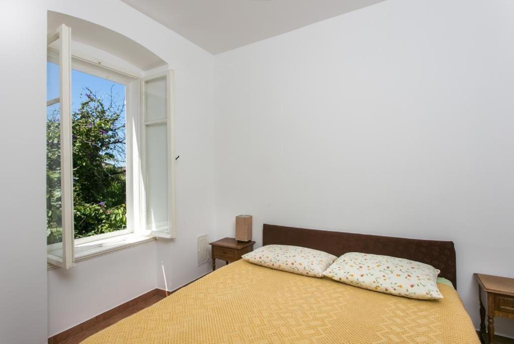 Apartment Tranquilo Dubrovnik Exteriör bild