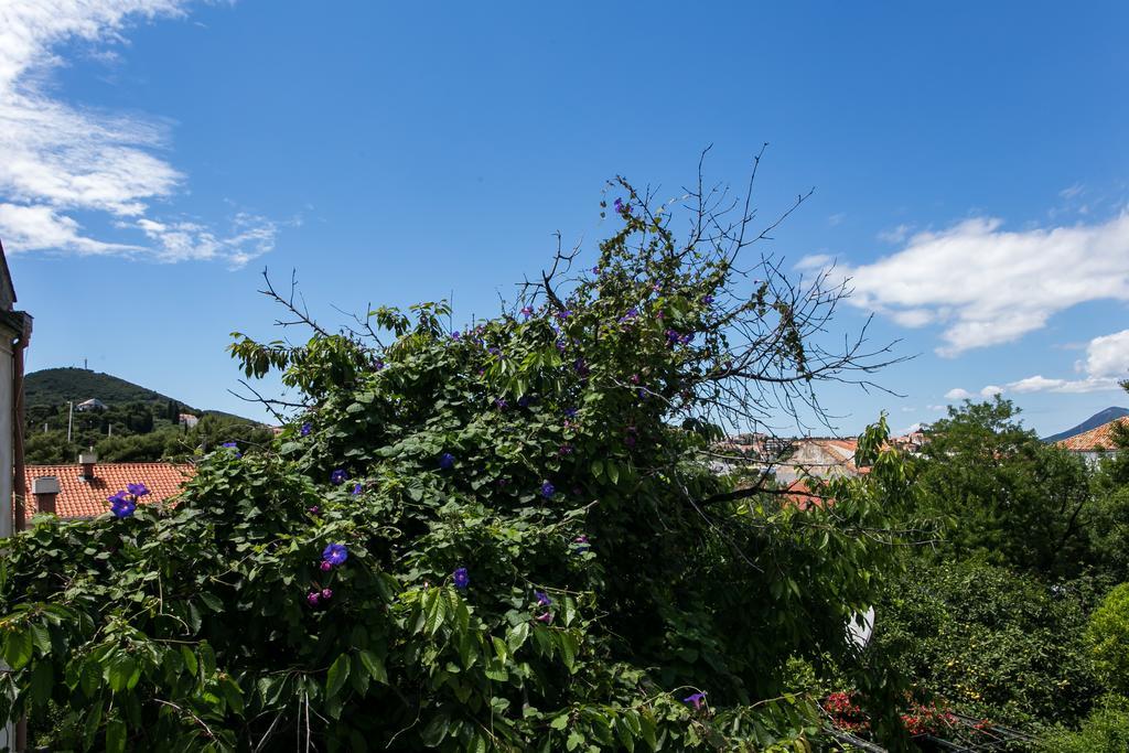 Apartment Tranquilo Dubrovnik Exteriör bild